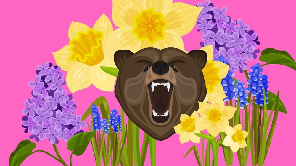 Week of May 3-7